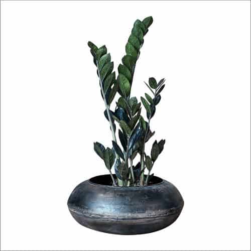 planter from Amara Living