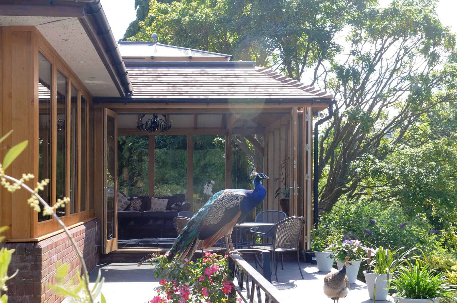 bespoke oak orangery