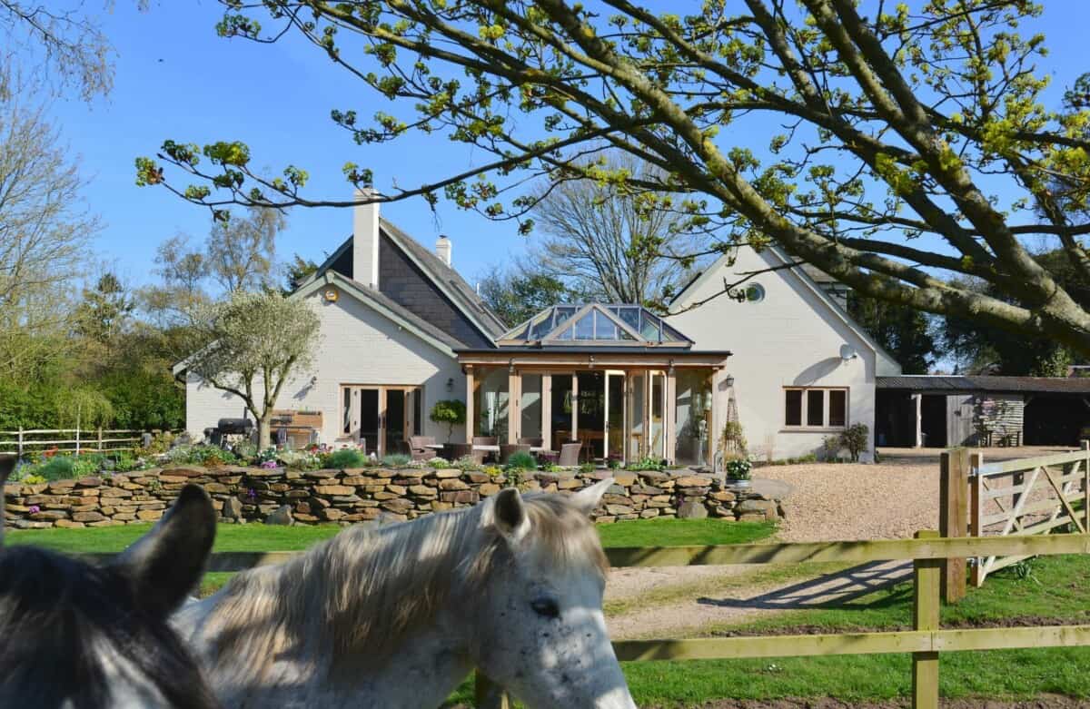 oak orangery extension