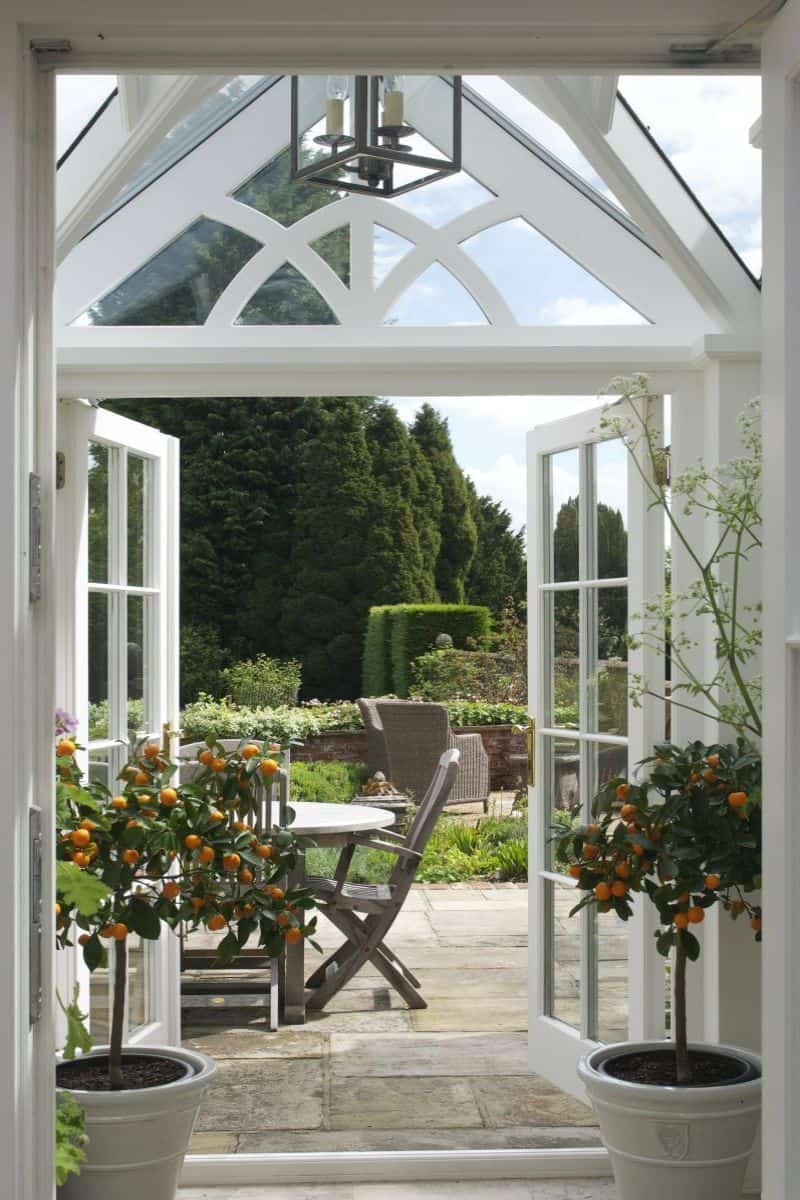 an orangery with orange trees