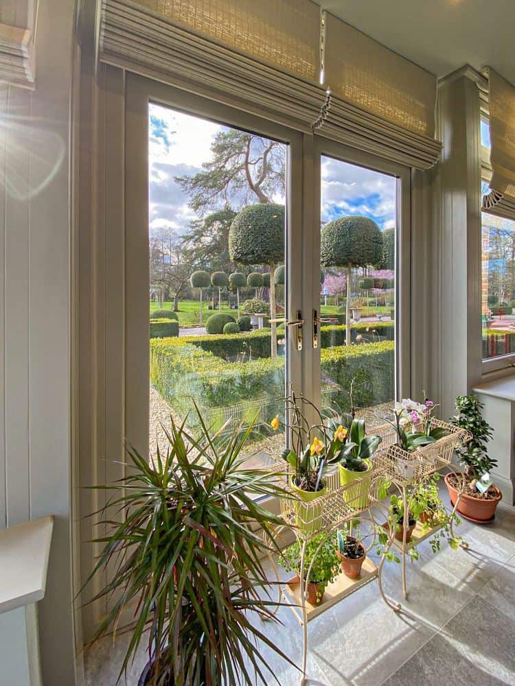 orangery with indoor plants