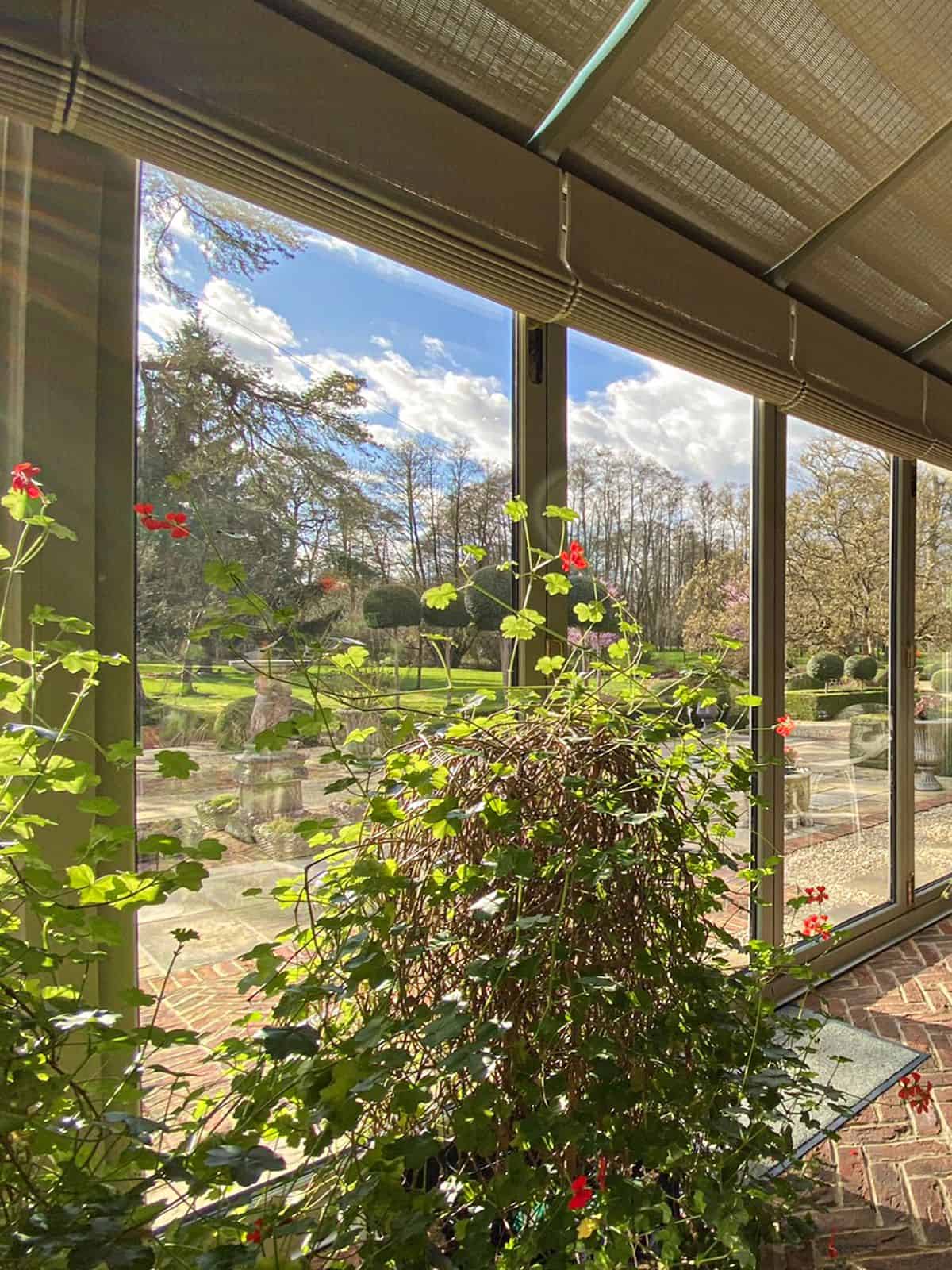 conservatory window plants