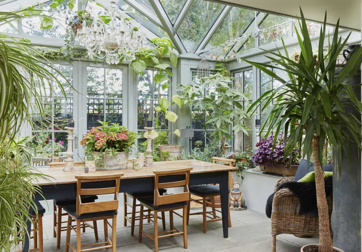 conservatory interior planting