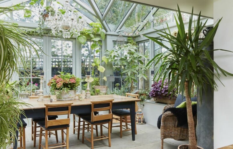 conservatory interior plants