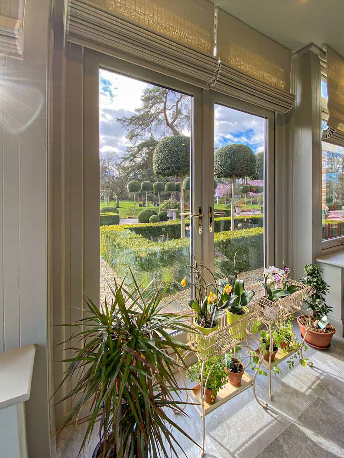 orangery window plants