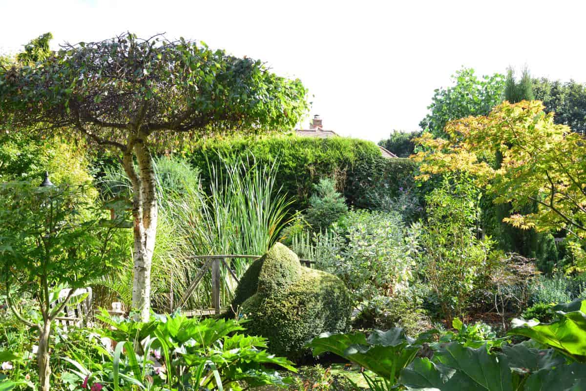 oak framed garden room views